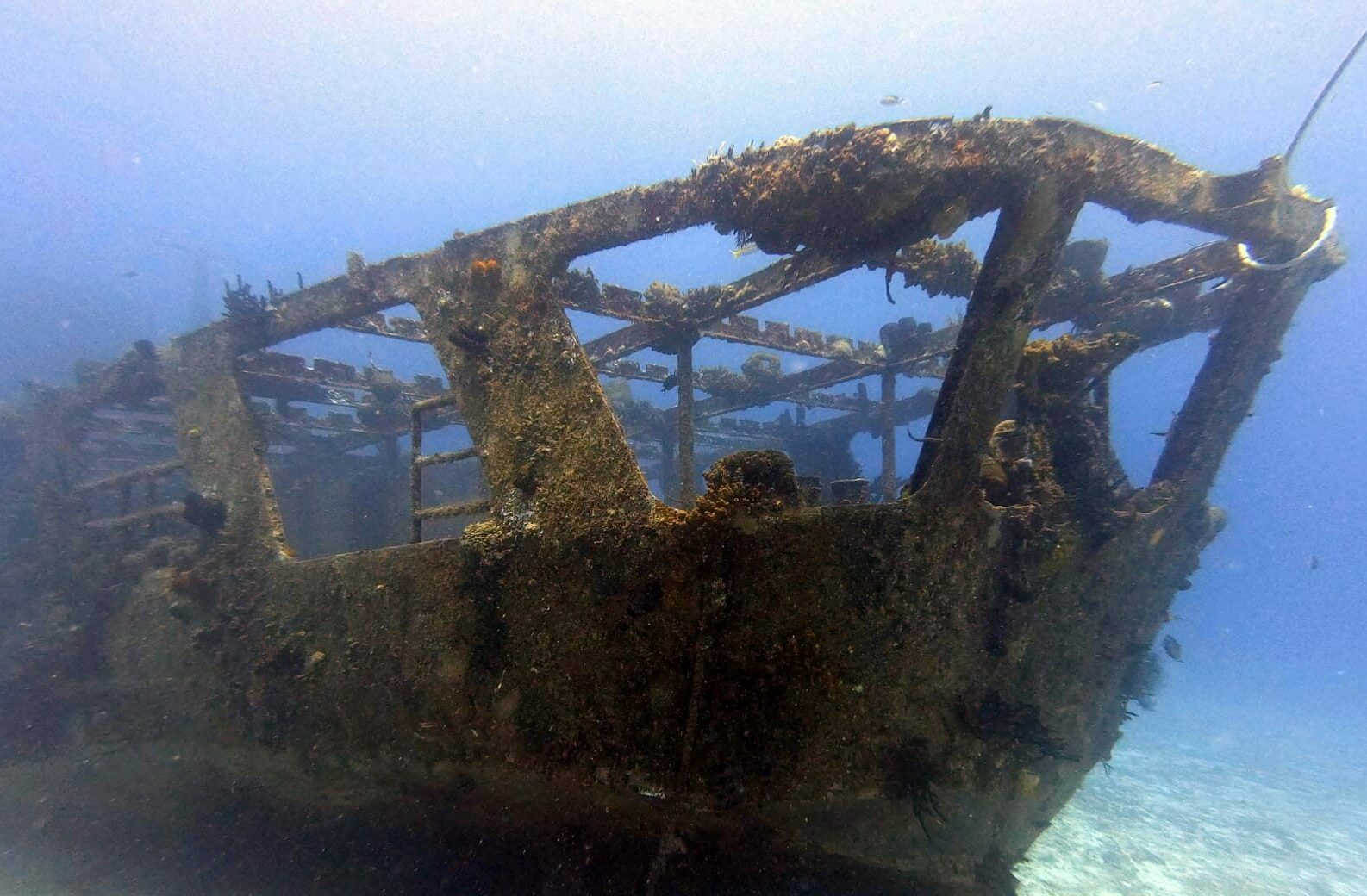 Vestiges structurels de l'épave du C53 à Cozumel foisonnant de vie marine, avec l'expertise de Triton Diving guidant l'exploration