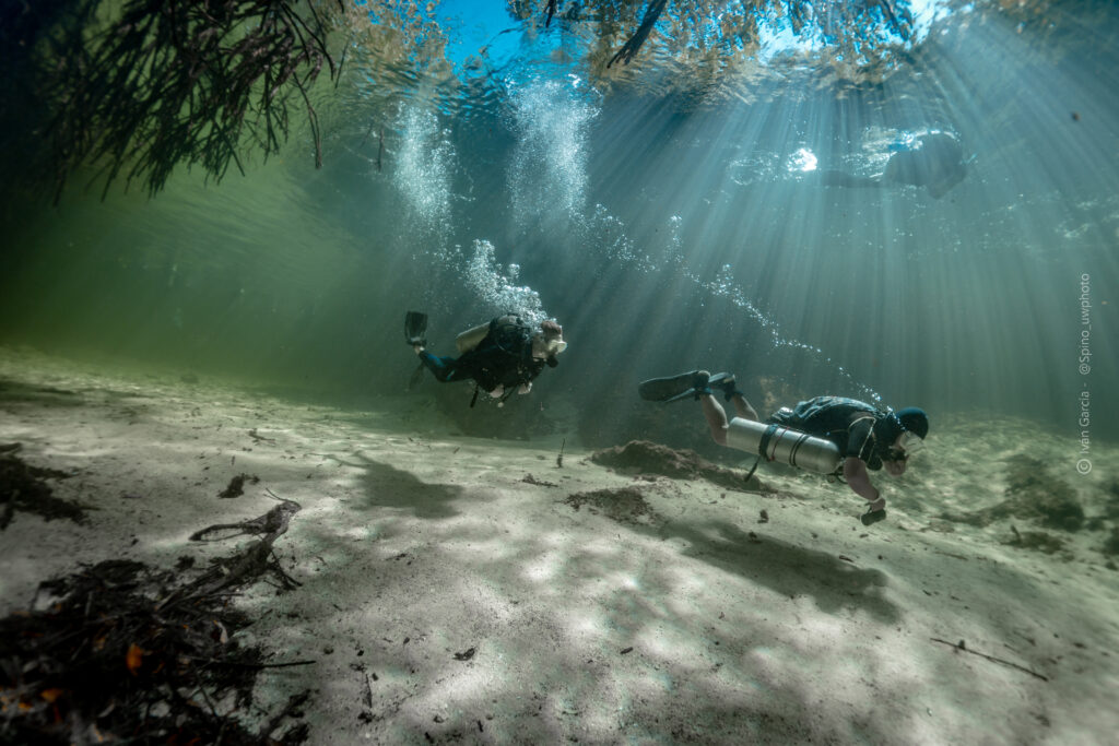 Triton Diving adventurers glide through the dappled sunlight of Casa Cenote's clear waters